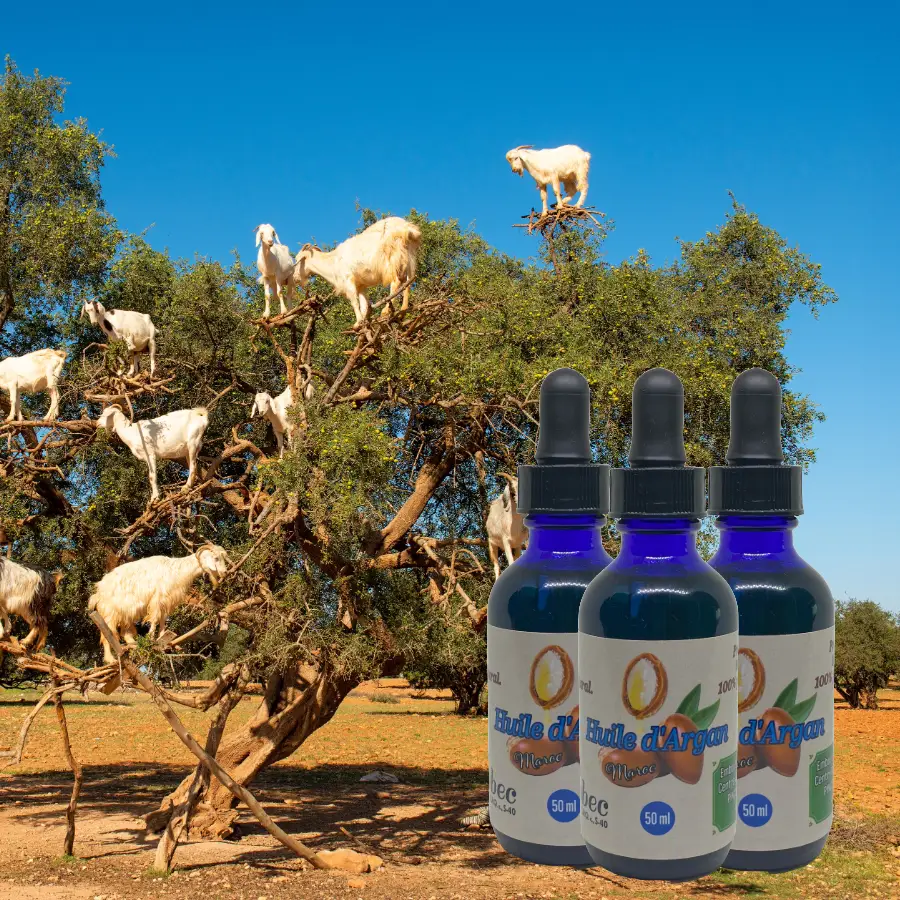ARGAN 50ml Organic Oil