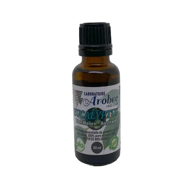 Eucalyptus (Blue Mallee) 30ml - Image 2