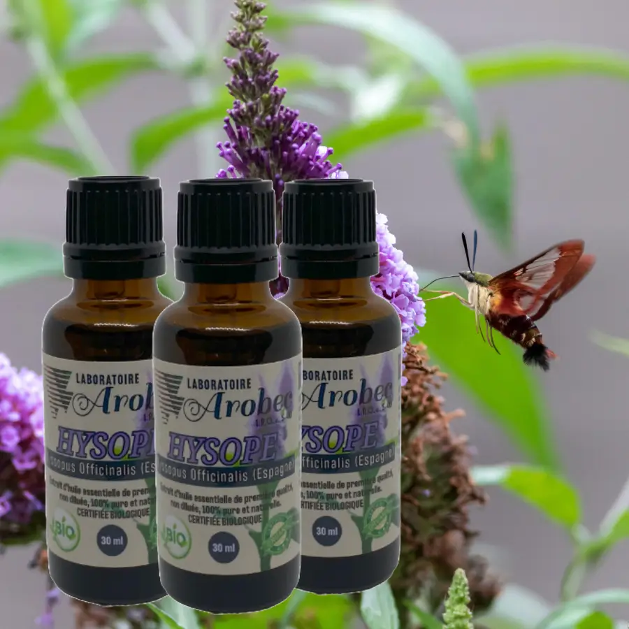 Hyssop 30ml
