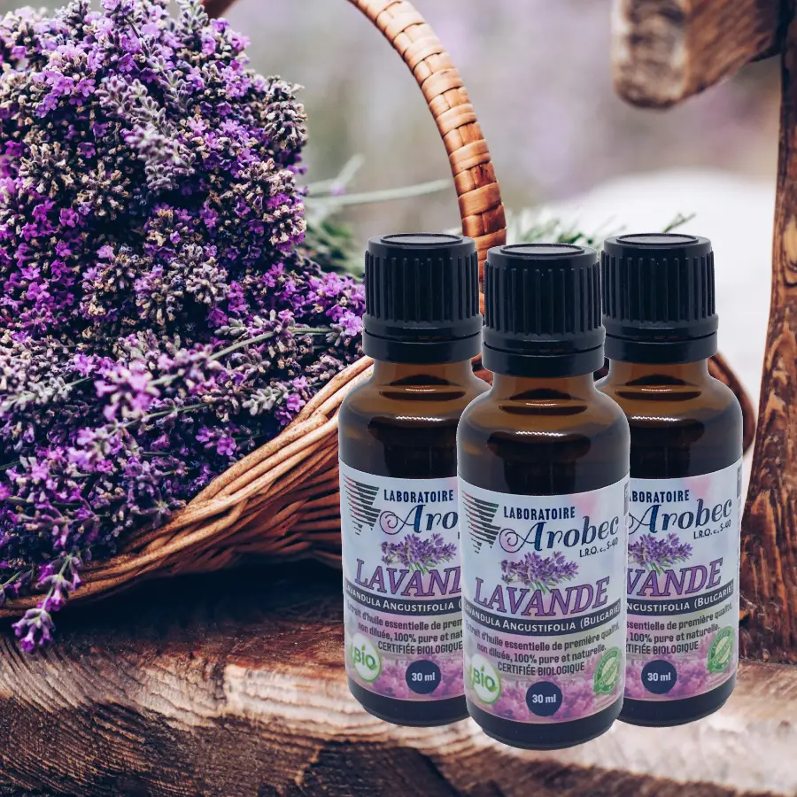 Lavender 30ml