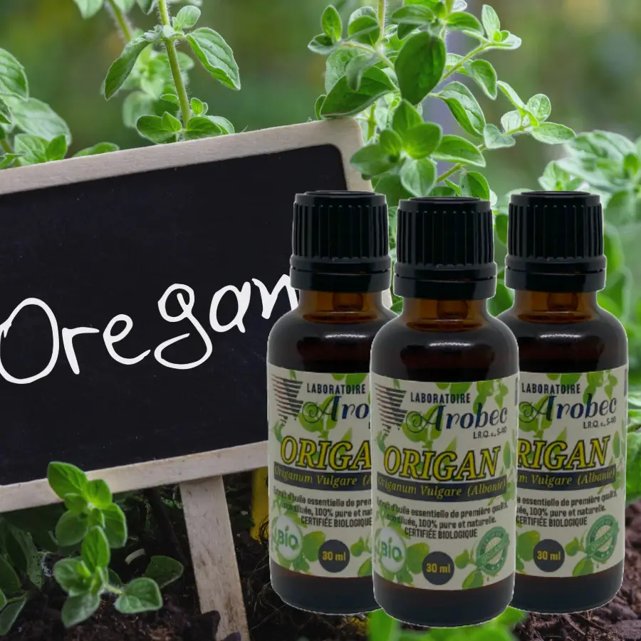 Origanum 30ml