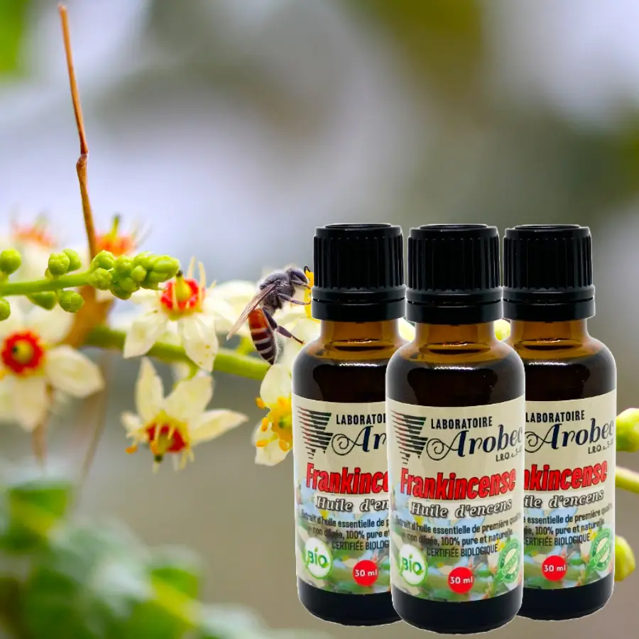 Frankincense 30ml