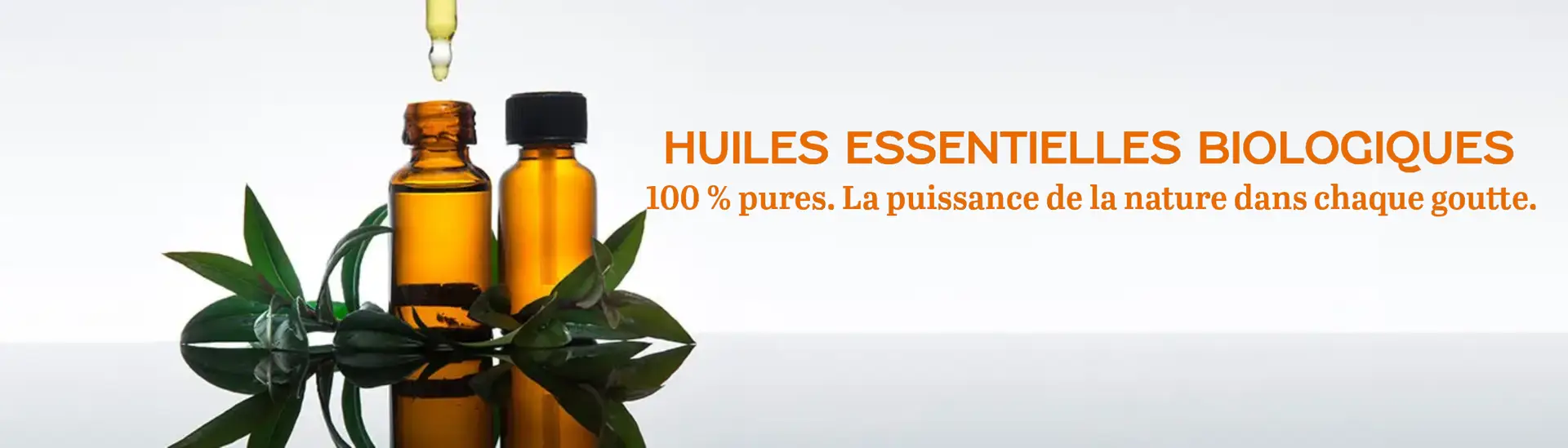 FRENCH ESSENTIAL