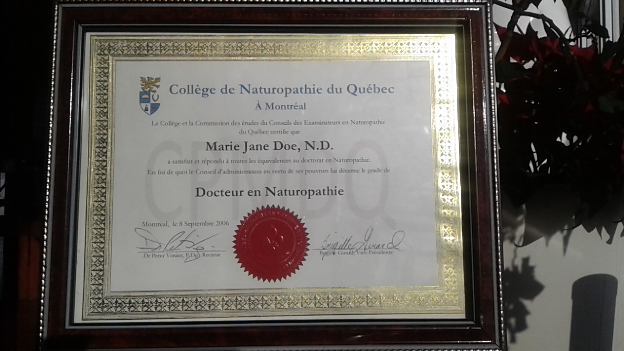 COLLÈGE DE NATUROPATHIE DU QUÉBEC À MONTRÉAL – Image 2