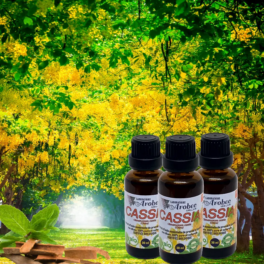 Cassia 30ml