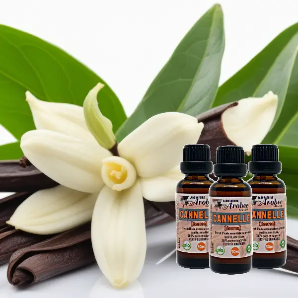 Cinnamon 30ml