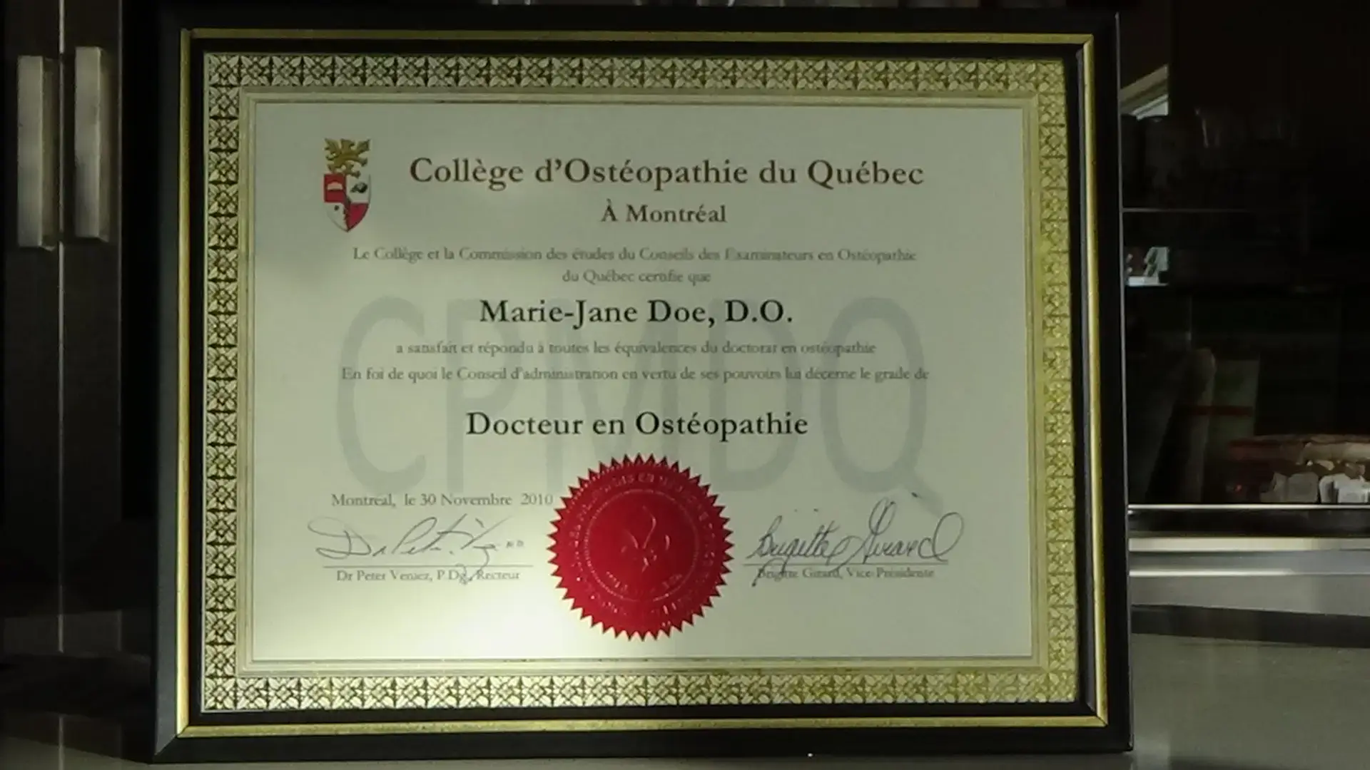 QUEBEC COLLEGE OF OSTEOPATHY IN MONTREAL - Image 4
