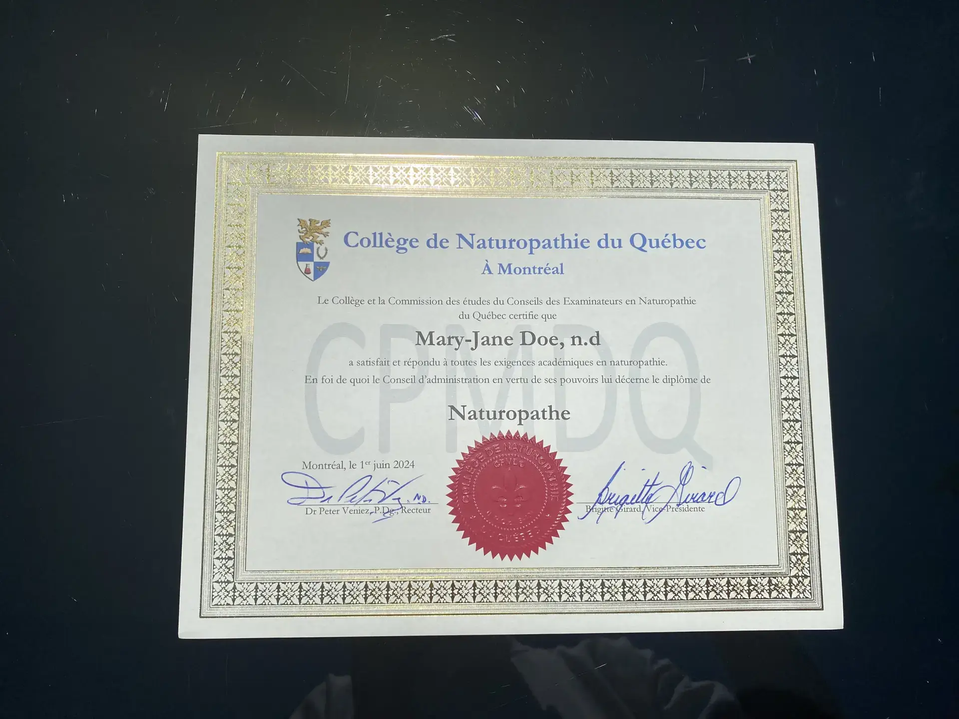 COLLÈGE DE NATUROPATHIE DU QUÉBEC À MONTRÉAL – Image 3