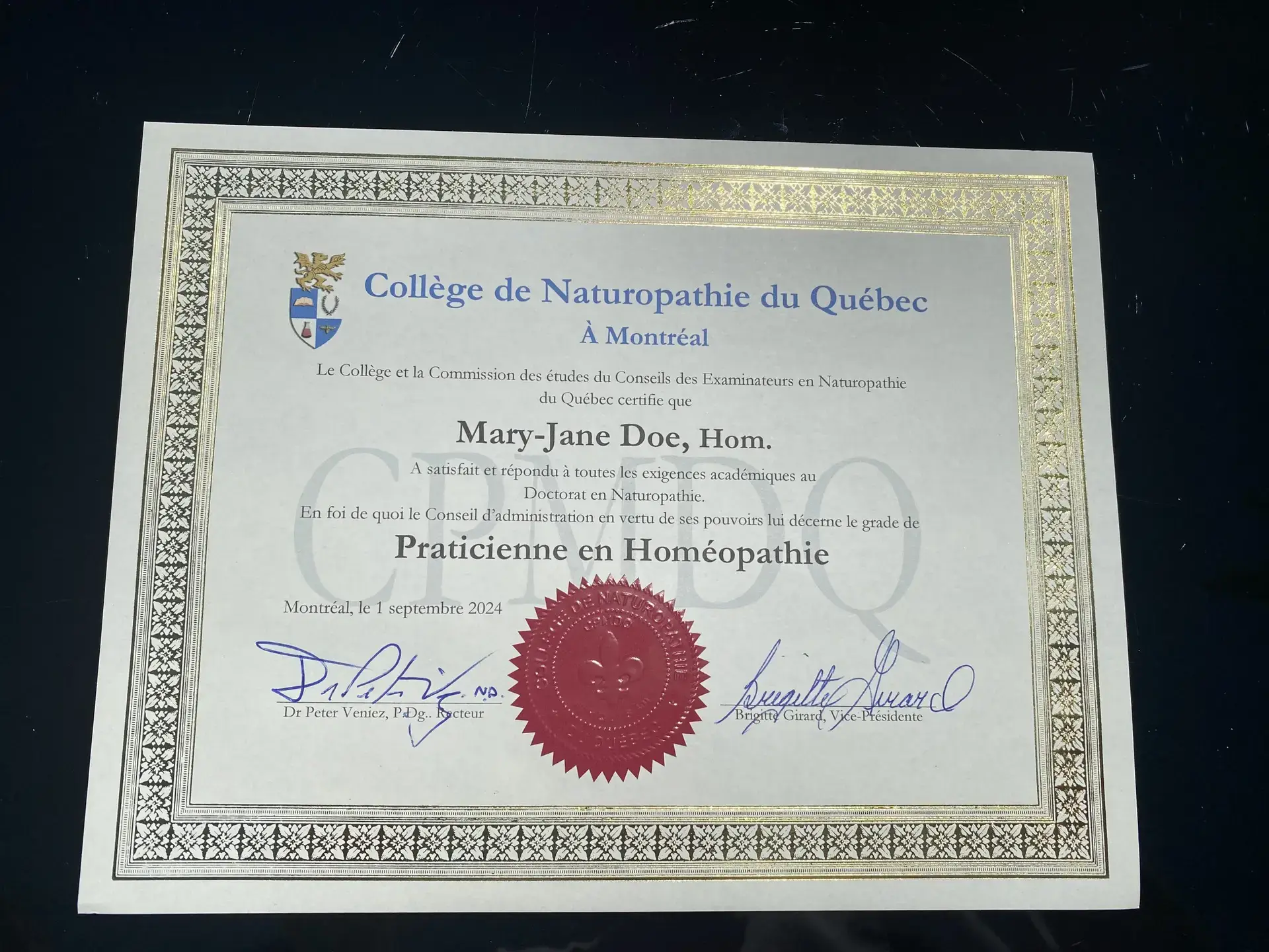 COLLÈGE DE NATUROPATHIE DU QUÉBEC À MONTRÉAL – Image 4